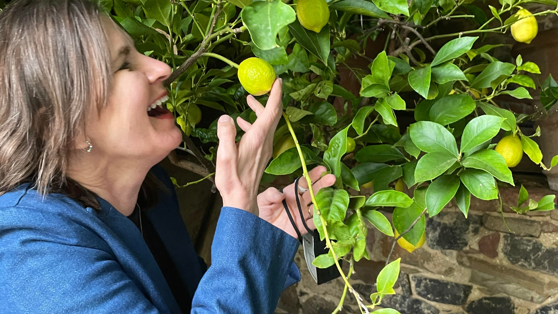 Lisa Carmichael smiling, leaning into a lemon tree