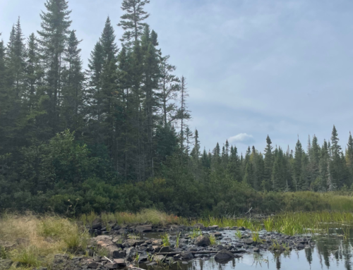 My Boundary Waters Canoe Area Experience